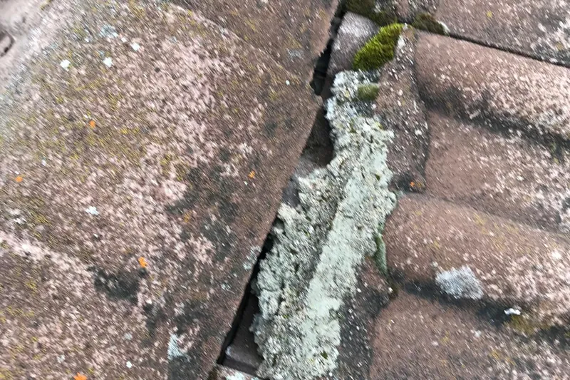 Lichens et mousse installés le long des tuiles faîtières